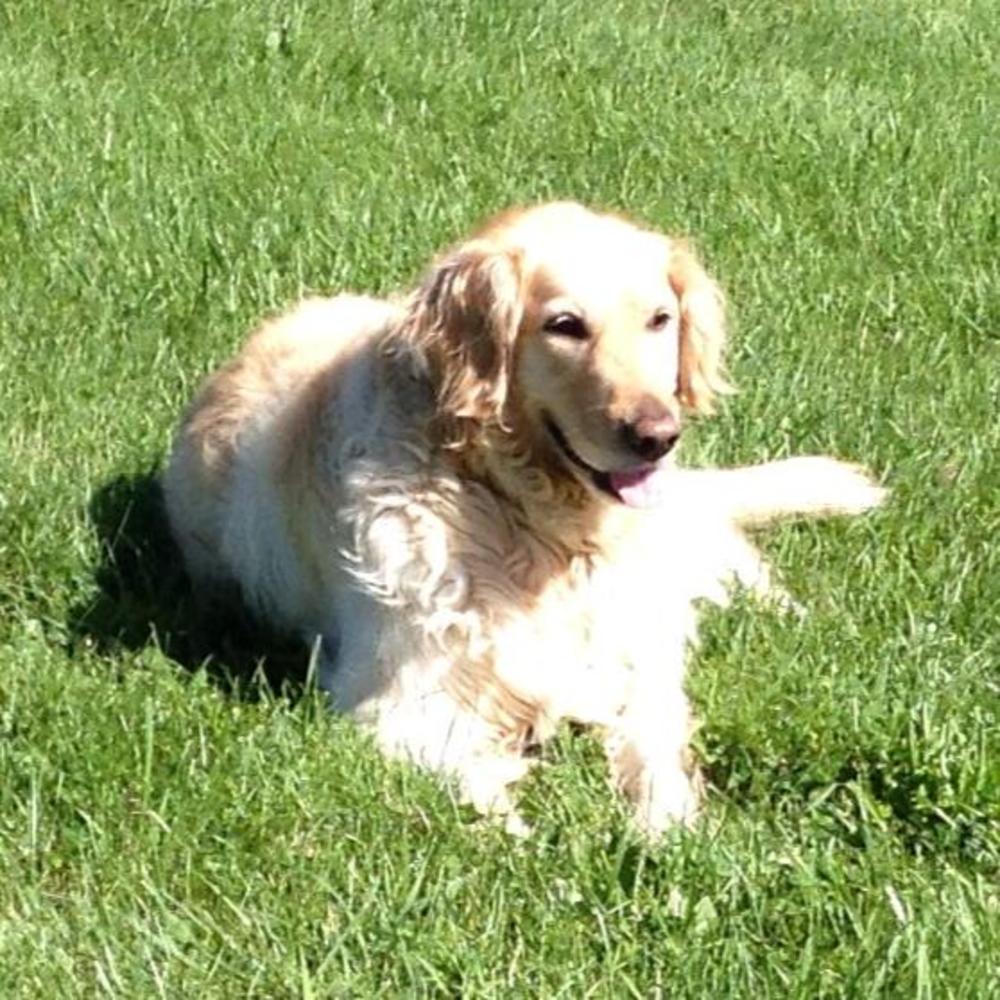 Meet your Posher, Scott